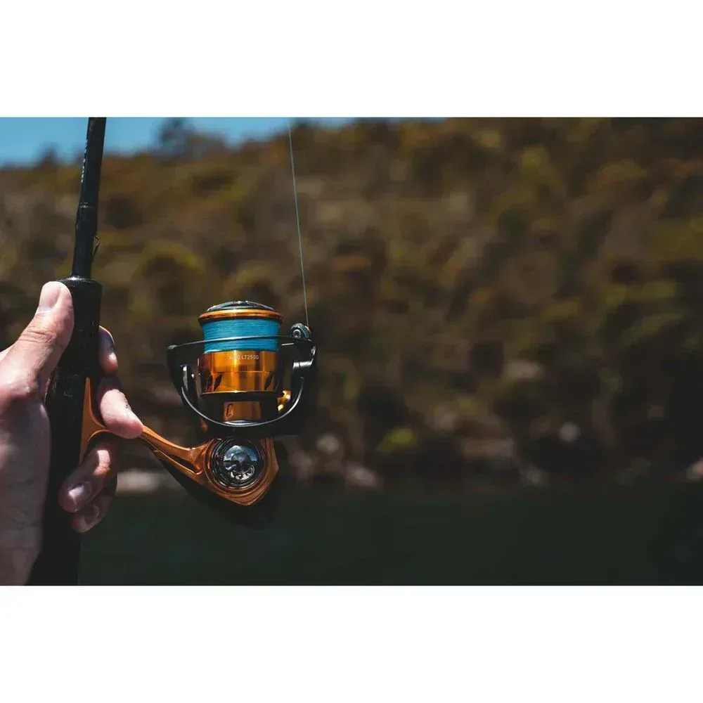 Thumbnail 15